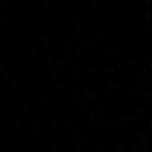 Meet your Posher, Halie